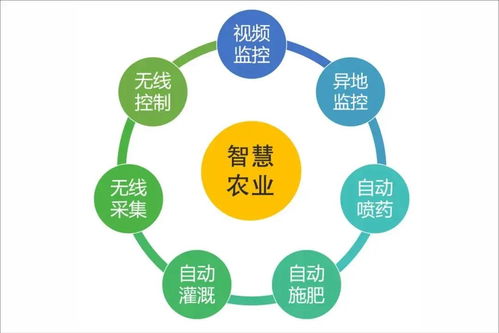 浙江新田鋪智慧農(nóng)業(yè)蔬果工廠(chǎng)正式投產(chǎn) 信息系統(tǒng)運(yùn)行維護(hù)服務(wù)開(kāi)啟現(xiàn)代農(nóng)業(yè)新篇章